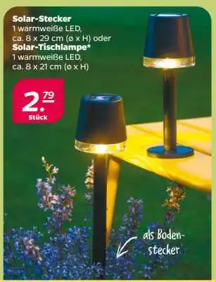 NETTO Solar-Stecker / Solar-Tischlampe Angebot