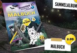 NETTO Malbuch Angebot