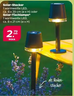 NETTO Solar-stecker oder solar-tischlampe Angebot
