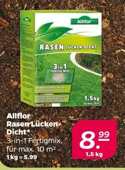 NETTO Allflor rasen lücken-dicht Angebot