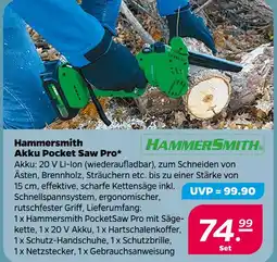NETTO Hammersmith akku pocket saw pro Angebot