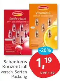 Budni Schaebens Konzentrat Angebot