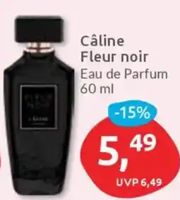 Budni Câline Fleur noir Angebot