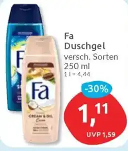 Budni Fa Duschgel Angebot