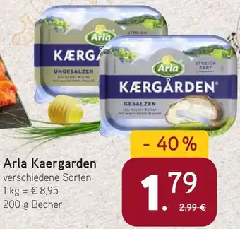 Dornseifer Arla Kaergarden Angebot