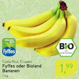 Dornseifer Fyffes oder Bioland Bananen Angebot