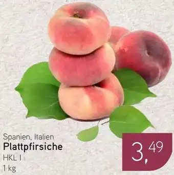 Dornseifer Plattpfirsiche Angebot