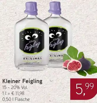 Dornseifer Kleiner Feigling Angebot