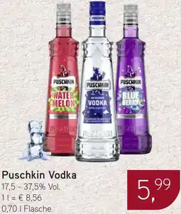 Dornseifer Puschkin Vodka Angebot