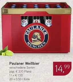 Dornseifer Paulaner Weißbier Angebot