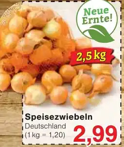 Wiglo Wunderland Speisezwiebeln Angebot