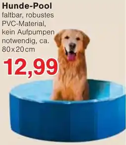 Wiglo Wunderland Hunde-Pool Angebot