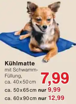 Wiglo Wunderland Kühlmatte Angebot