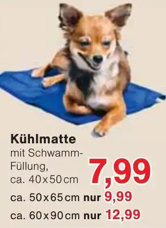 Wiglo Wunderland Kühlmatte Angebot