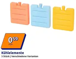 Action Kühlelemente Angebot