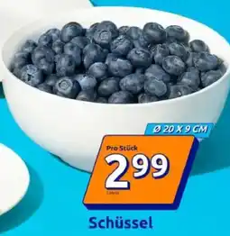 Action Schüssel Angebot
