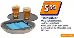 Action Tischkühler Angebot