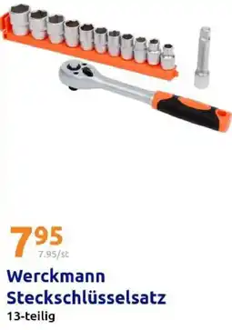 Action Werckmann Steckschlüsselsatz Angebot
