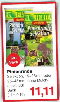 Wiglo Wunderland Pinienrinde Angebot