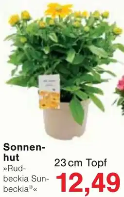 Wiglo Wunderland Sonnenhut Angebot