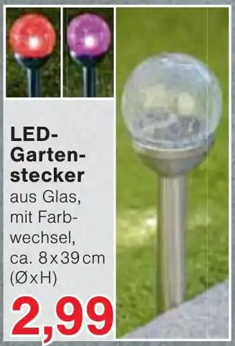 Wiglo Wunderland LED-Gartenstecker Angebot