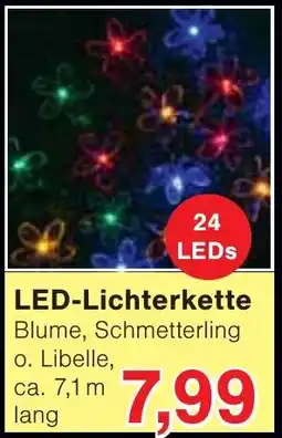 Wiglo Wunderland LED-Lichterkette Angebot