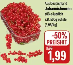 Feneberg Johannisbeeren Angebot