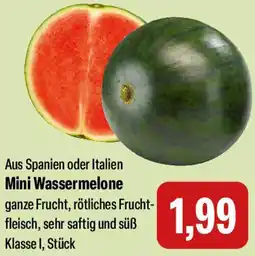 Feneberg Mini Wassermelone Angebot