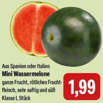 Feneberg Mini Wassermelone Angebot