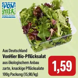 Feneberg VonHier Bio-Pflücksalat Angebot
