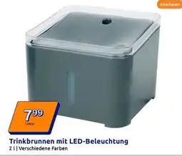 Action Trinkbrunnen Angebot