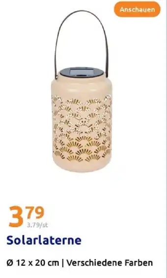 Action Solarlaterne Angebot