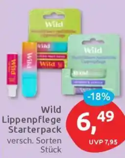 Budni Wild Lippenpflege Starterpack Angebot
