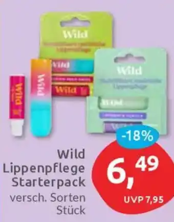 Budni Wild Lippenpflege Starterpack Angebot