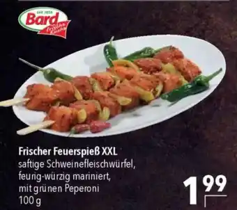 CITTI Markt Bard Frischer Feuerspieẞ XXL Angebot