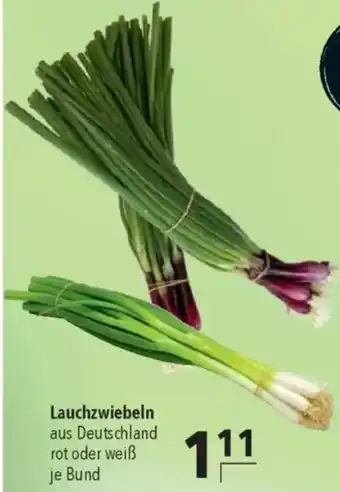 CITTI Markt Lauchzwiebeln Angebot