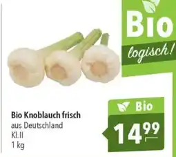 CITTI Markt Bio Knoblauch frisch Angebot