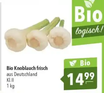 CITTI Markt Bio Knoblauch frisch Angebot