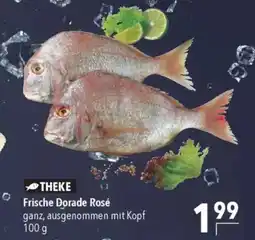 CITTI Markt Frische Dorade Rosé Angebot