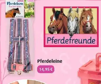 Hartfelder Spielzeug Pferdeleine Angebot