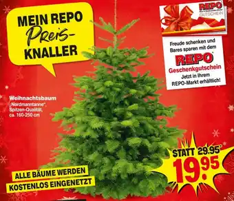 Repo Markt Weihnachtsbaum Nordmanntanne Angebot