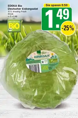 WEZ EDEKA Bio Deutscher Eisbergsalat Angebot
