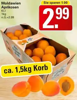 WEZ Moldawien Aprikosen Angebot