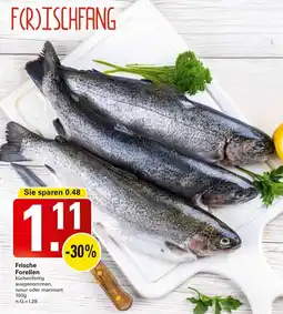 WEZ Frische Forellen Angebot