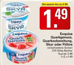 WEZ Exquisa Quarkgenuss, Quarkzubereitung, Skyr oder Fitline Angebot