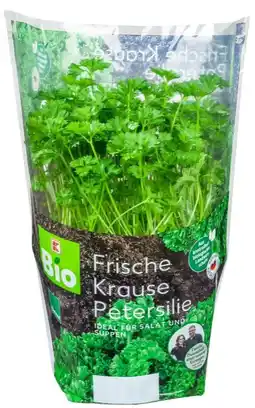 Kaufland K-Bio Bio-Kräutertopf Angebot