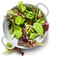 Kaufland Pflücksalat Angebot