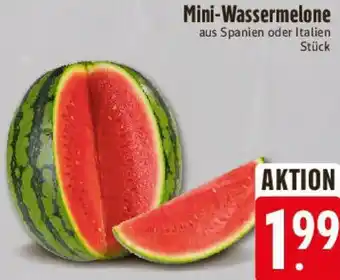 E-Center Mini-Wassermelone Angebot