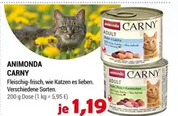 Zookauf Animonda carny Angebot