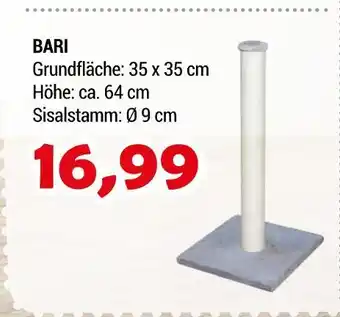 Zookauf Bari Angebot